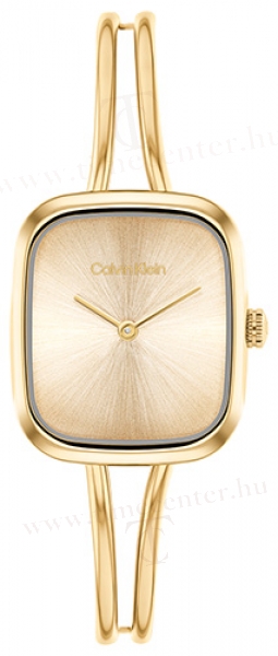 Calvin Klein CK25100132 karóra